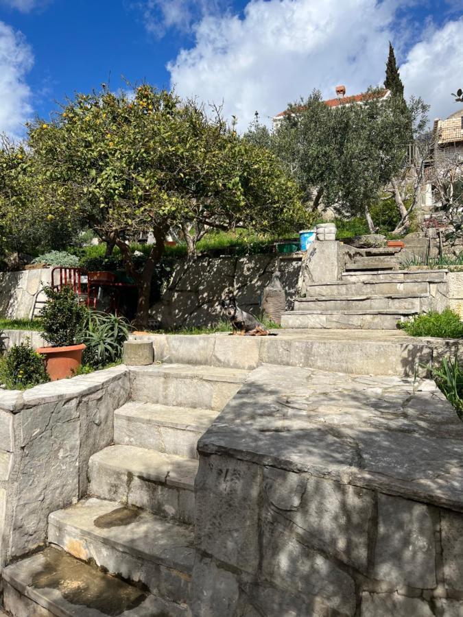 Apartament Cvjetkovic Mlini