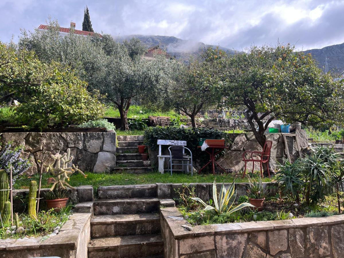 Cvjetkovic Apartament Mlini